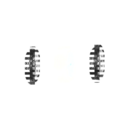 Foto pneumatico: ACCELERA, 651 SPORT SEMI SLICK TWI100 235/40 R18 91W Estive