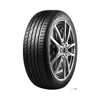 Foto pneumatico: AUTOGREEN, supersportchaser ssc5 205/55 R17 95W Estive