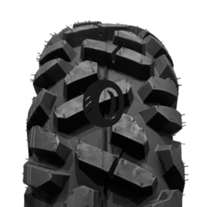 Foto pneumatico: DATEX, P305 8/ R12 43F Quattro-stagioni