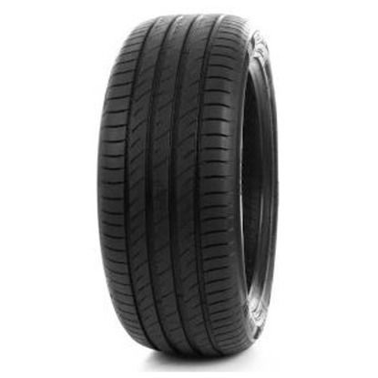 Foto pneumatico: DELINTE, DS2 175/70 R14 88T Estive