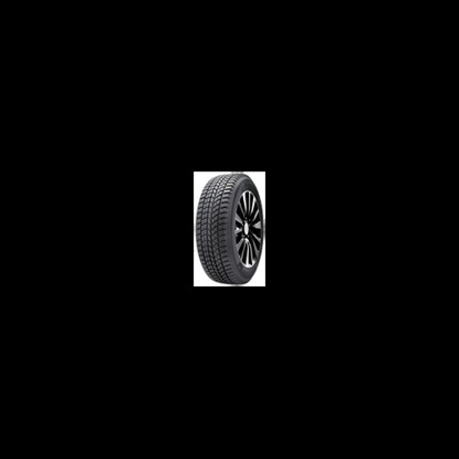 Foto pneumatico: Double Star, WINTERKING DW02 235/45 R18 94T Invernali