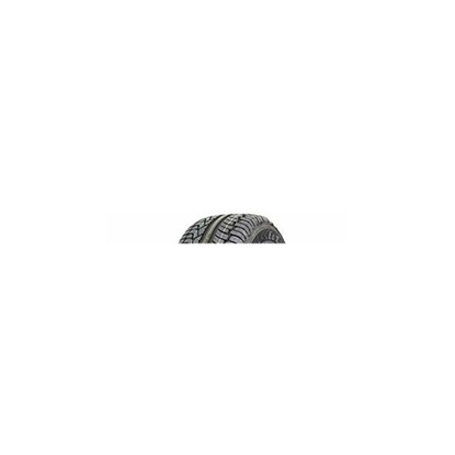 Foto pneumatico: ACCELERA, 68 275/40 R20 106Y Estive