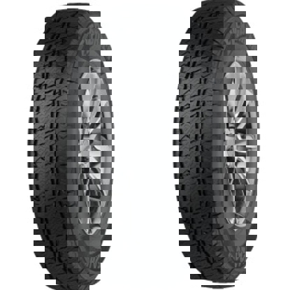 Foto pneumatico: EVERGREEN, EA720 225/70 R15 112T Quattro-stagioni