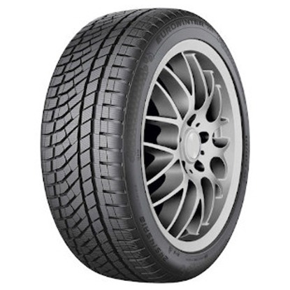 Foto pneumatico: FALKEN, EUROWINTER HS02PRO 295/35 R21 107W Invernali