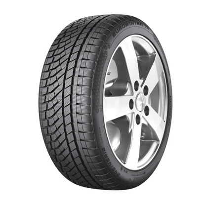 Foto pneumatico: FALKEN, EUROWINTER HS02PRO 225/40 R19 93V Invernali
