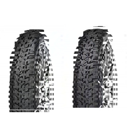 Foto pneumatico: GRIPMAX, Status Pro Winter 335/25 R22 105V Invernali