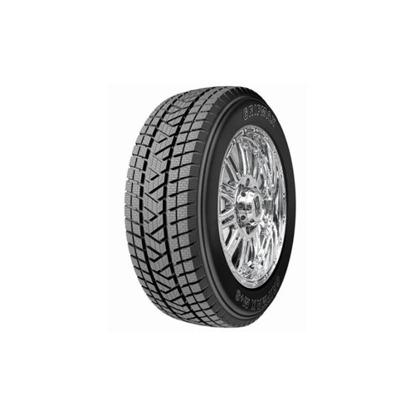 Foto pneumatico: GRIPMAX, Stature M/S 225/60 R18 100H Invernali