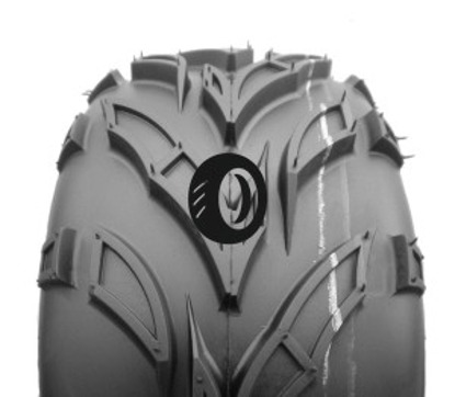 Foto pneumatico: JOURNEY TYRE, P361 6/ R8  Quattro-stagioni