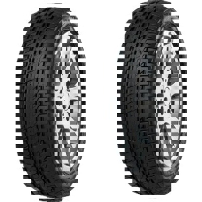 Foto pneumatico: MINERVA, F205 215/50 R19 93T Estive
