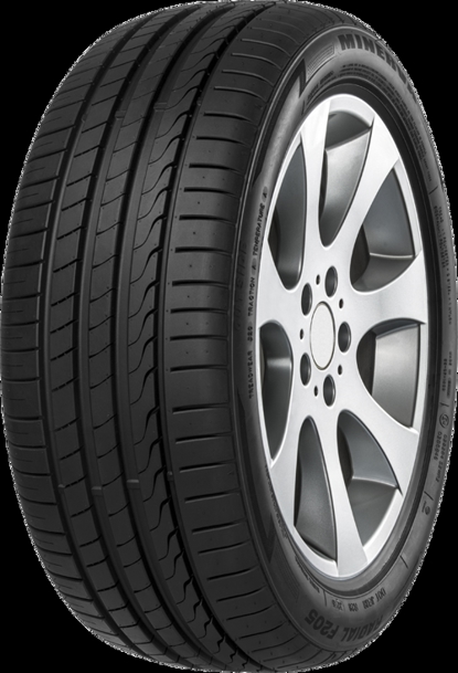 Foto pneumatico: MINERVA, F105 215/50 R18 92W Estive