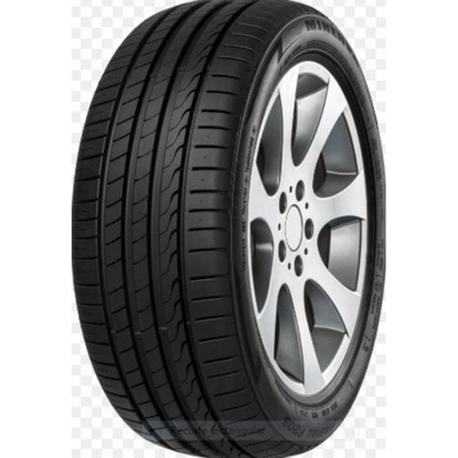 Foto pneumatico: MINERVA, F205 225/45 R17 94Y Estive
