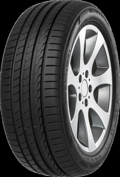 Foto pneumatico: MINERVA, F105 205/40 R18 86Y Estive