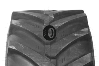 Foto pneumatico: MITAS, TR01 15/55 R17  Quattro-stagioni