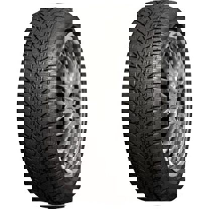 Foto pneumatico: ROADX, RX FROST WU01 195/65 R15 95T Invernali