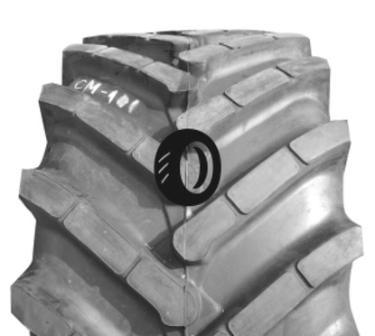 Foto pneumatico: ROSAVA, CM-101 800/65 R32 178A8 Quattro-stagioni