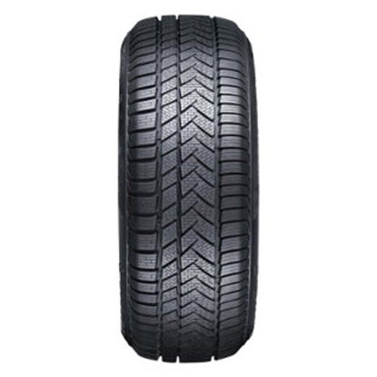 Foto pneumatico: SUNNY, Wintermax NW211 195/55 R16 87H Invernali