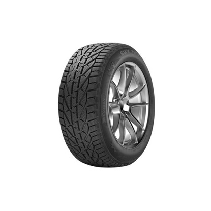Foto pneumatico: TAURUS, 601 winter 205/65 R15 94T Invernali