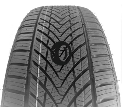 Foto pneumatico: TOURADOR, X ALL CLIMATE TF1 205/55 R16 91V Estive