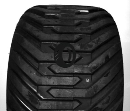 Foto pneumatico: TRELLEBORG, T404 TWIN GARDEN TRACTOR 400/55 R22.5 111A8 Quattro-stagioni