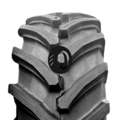 Foto pneumatico: TRELLEBORG, TM1000PT 600/70 R30 170D Quattro-stagioni