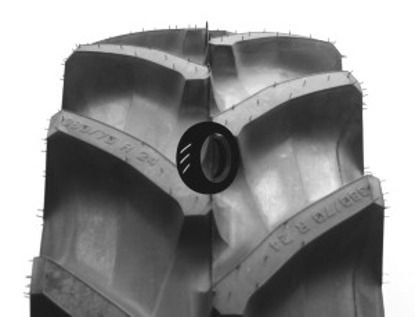 Foto pneumatico: TRELLEBORG, TM700 380/70 R24 125A8 Quattro-stagioni