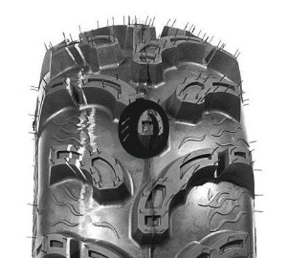 Foto pneumatico: WANDA TYRE, P375 11/ R10 53J Quattro-stagioni
