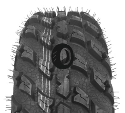 Foto pneumatico: WANDA TYRE, VS3021 10/ R14 81N Quattro-stagioni