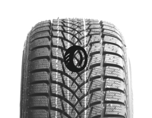 Foto pneumatico: DAYTON, DW510 EVO 195/55 R15 85H Invernali