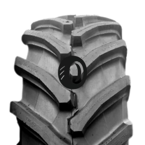 Foto pneumatico: TRELLEBORG, TM1000PT 600/70 R30 170D Quattro-stagioni